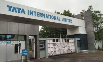 Tata International Aims to Double Sustainable Leather Production
