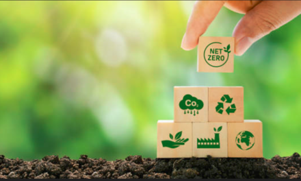  India’s Leather Industry Targets Net-Zero Carbon Footprint