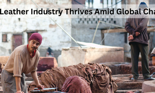  India’s Leather Industry Thrives Amid Global Challenges