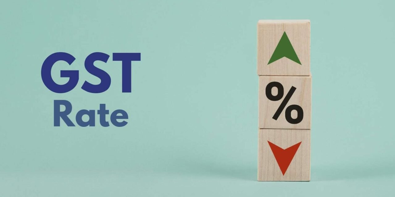 DPIIT seeks GST rate reduction for specific segments of the leather sector.