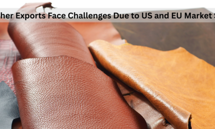 Indian Leather Exports Face Challenges Due to US and EU Market Slowdowns