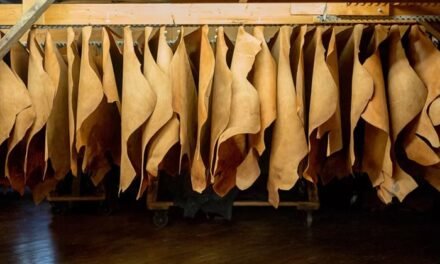 Uttar Pradesh’s Kanpur Leather Cluster Bags ₹500 Crore Investment