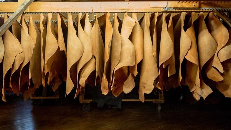 Uttar Pradesh’s Kanpur Leather Cluster Bags ₹500 Crore Investment