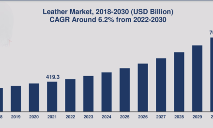 Leather Goods Market in India Forecasted to Grow by 20% by 2028