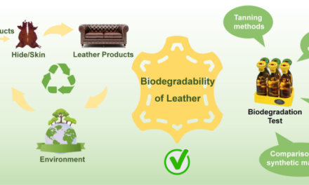 Leather Sector Promotes Eco-Friendly Alternatives to Traditional Tanning