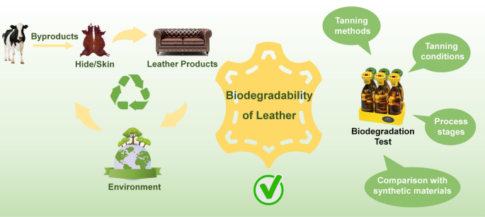 Leather Sector Promotes Eco-Friendly Alternatives to Traditional Tanning