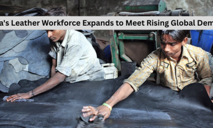 India’s Leather Workforce Expands to Meet Rising Global Demand