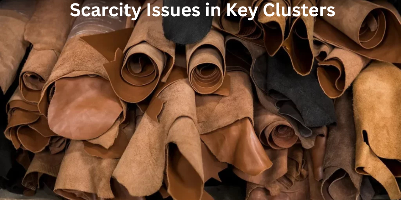 Indian Leather Industry Faces Water Scarcity Issues in Key Clusters