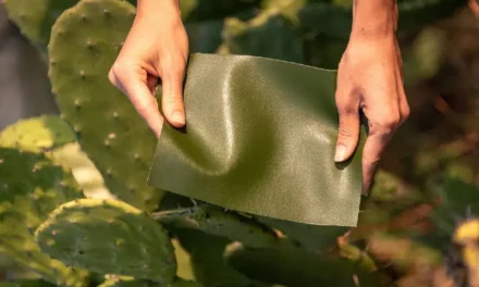 Eco-Friendly Leather Production Gains Momentum in India