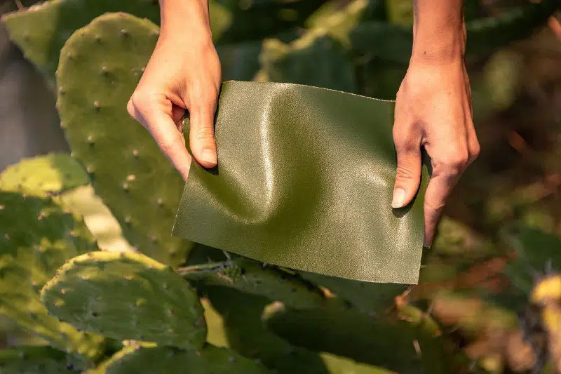 Eco-Friendly Leather Production Gains Momentum in India
