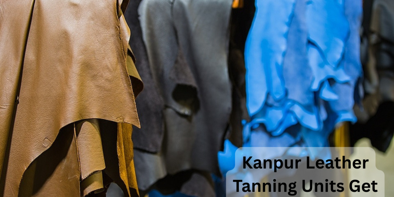 Kanpur’s Leather Tanning Units Get Green Clearance