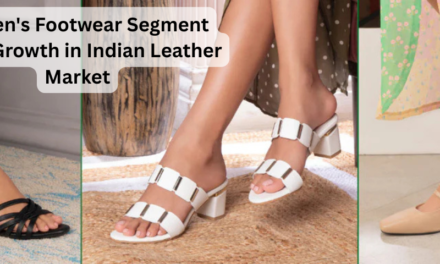 Women’s Footwear Segment Spurs Growth in Indian Leather Market