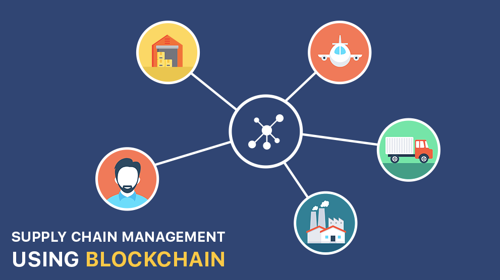 Leather Industry Adopts Blockchain for Supply Chain Transparency