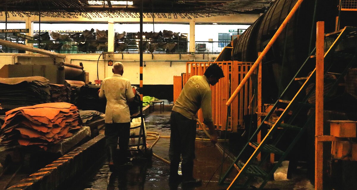 How does the government ensure environmental compliance in Panapakkam’s leather industry?