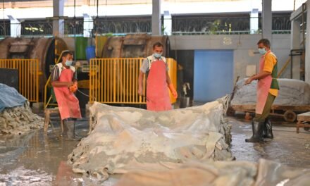 How does the leather industry in Panapakkam compare to other regions in Tamil Nadu?
