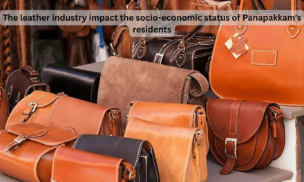 How does the leather industry impact the socio-economic status of Panapakkam’s residents?