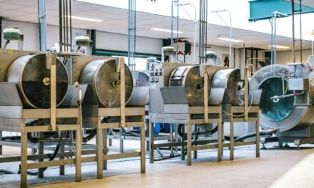 How does innovation in tanning techniques impact Panapakkam’s industry?
