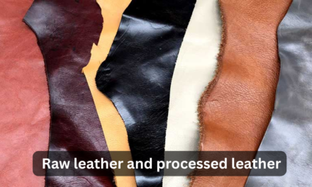 What is the difference between raw leather and processed leather?