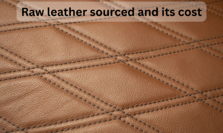 How is raw leather sourced, and what factors affect its cost?