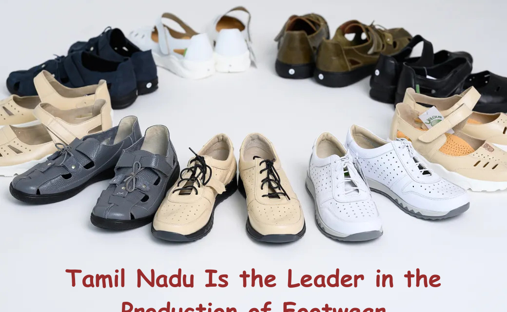 Tamil Nadu is the Leader in the Production of Footwear
