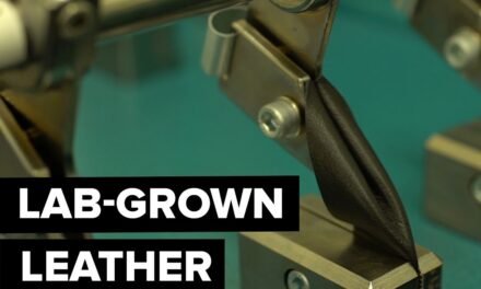 A Lab-Grown Leather Company Expands the Size of Skin Samples