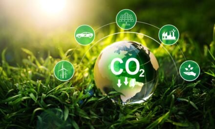 What steps are being taken to reduce the carbon footprint of leather manufacturing?