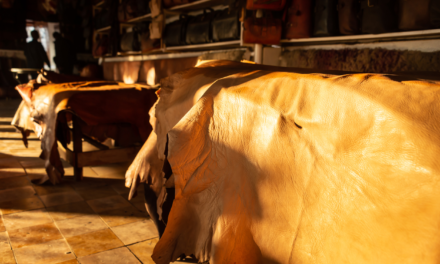 How are eco-friendly tanning methods transforming the leather industry?