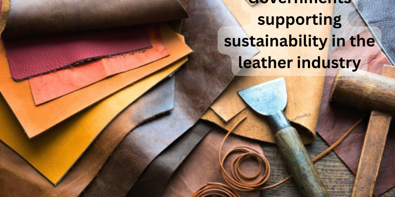 How are governments supporting sustainability in the leather industry?