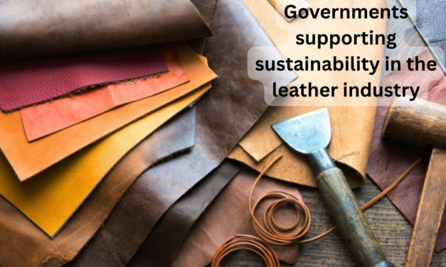 How are governments supporting sustainability in the leather industry?