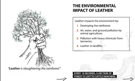 What environmental challenges does Panapakkam’s leather industry face?