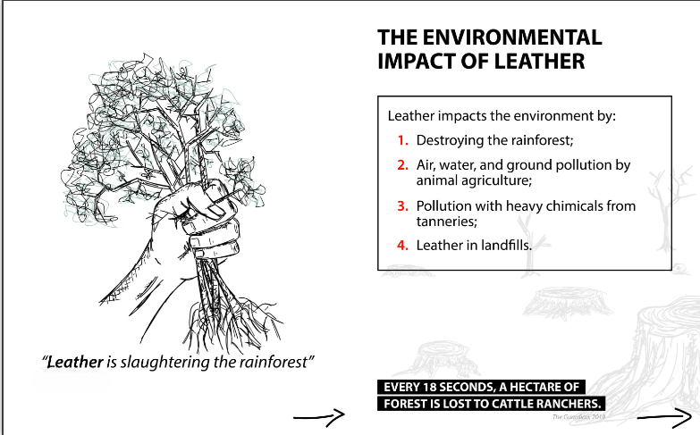 What environmental challenges does Panapakkam’s leather industry face?
