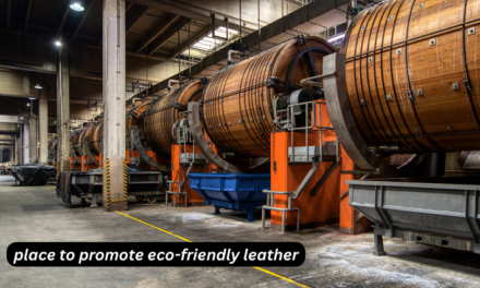 What initiatives are in place to promote eco-friendly leather production in Panapakkam?