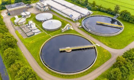 How are waste management and effluent treatment handled in the MLFAC Industrial Park?