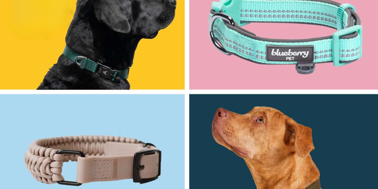 What types of leather collars and leashes are popular for pets?