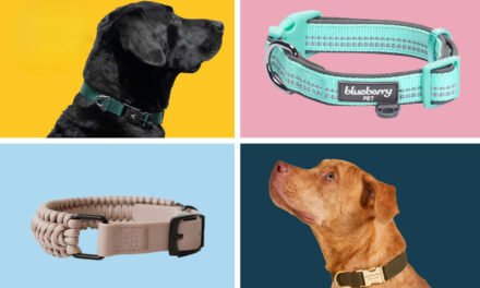 What types of leather collars and leashes are popular for pets?
