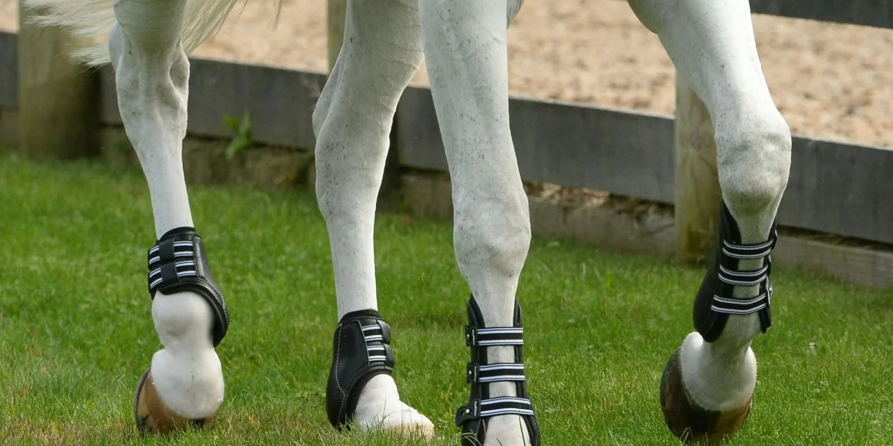 How are leather boots and protective gear made for animals like dogs and horses?
