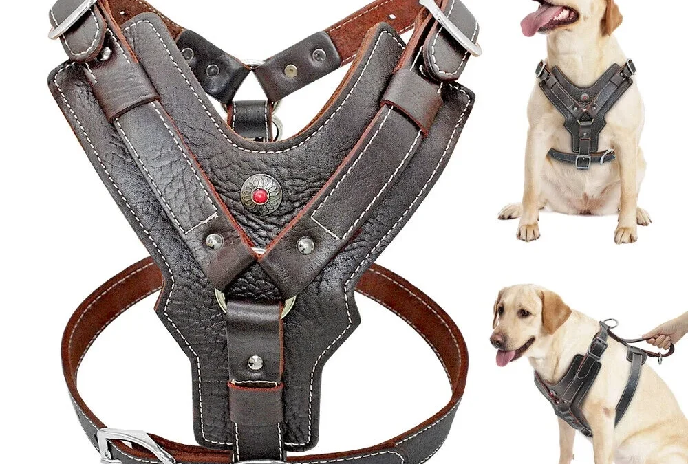 How are leather harnesses designed to ensure comfort and durability for animals?