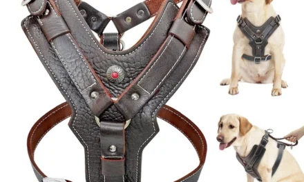 How are leather harnesses designed to ensure comfort and durability for animals?