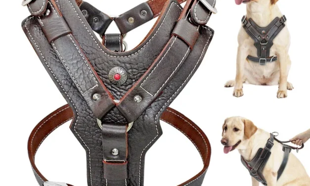How are leather harnesses designed to ensure comfort and durability for animals?
