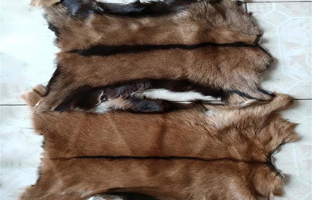 How are leather protective accessories like boots and blankets made for animals?