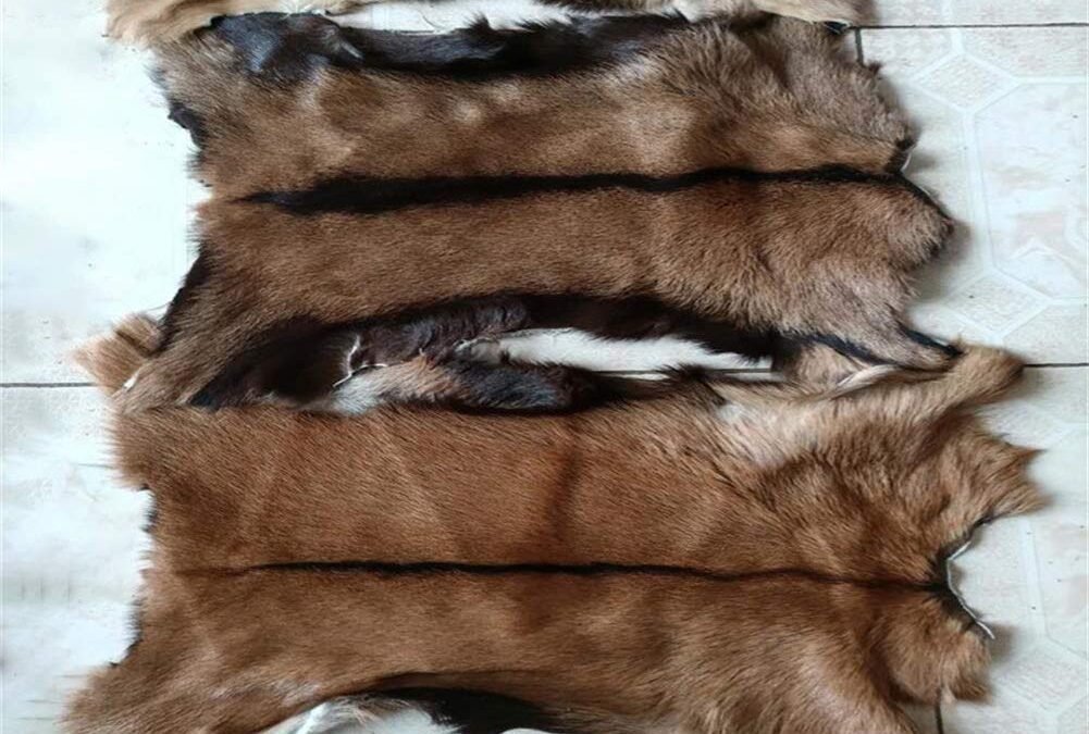 How are leather protective accessories like boots and blankets made for animals?