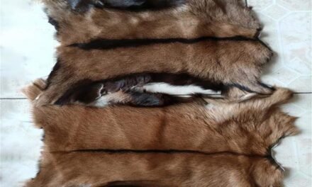 How are leather protective accessories like boots and blankets made for animals?