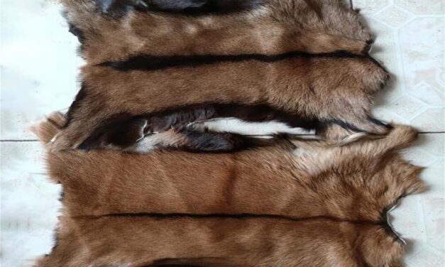 How are leather protective accessories like boots and blankets made for animals?