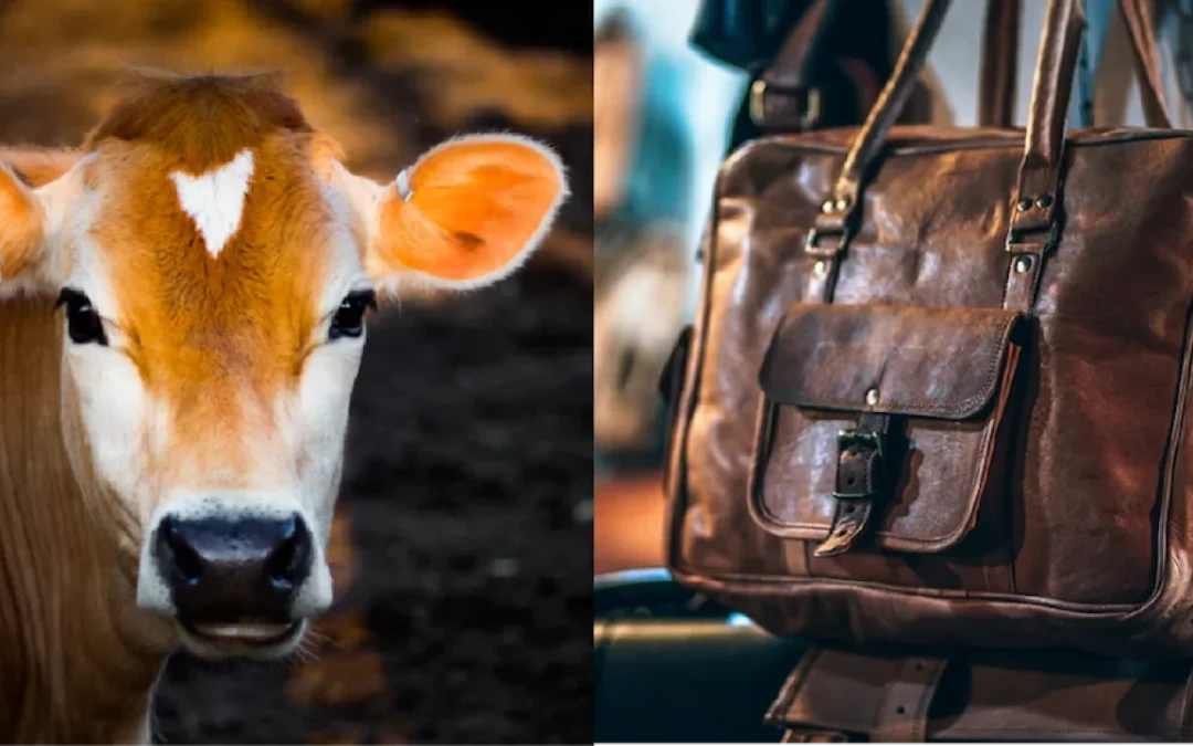 How is leather treated to endure wear and tear in working animal gear?