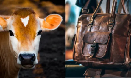 How is leather treated to endure wear and tear in working animal gear?