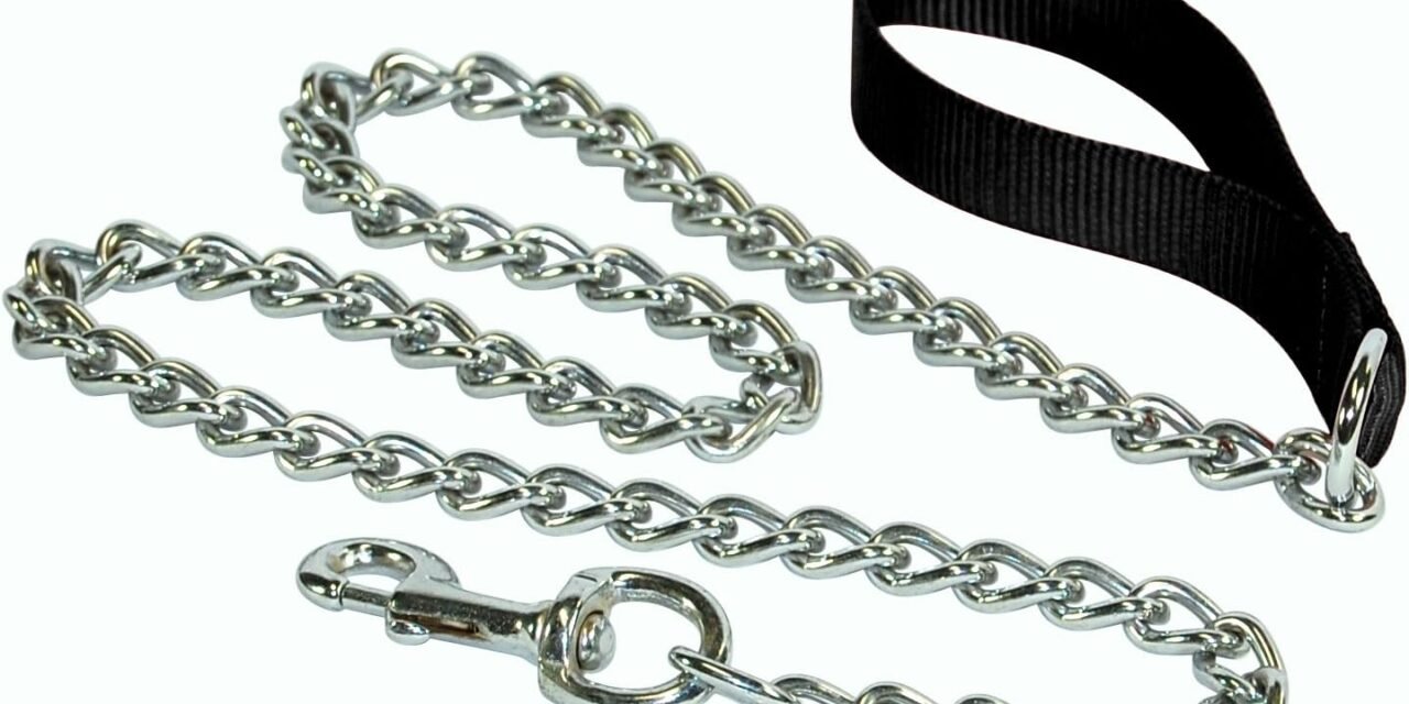 What customization options are available for leather pet collars and leashes?