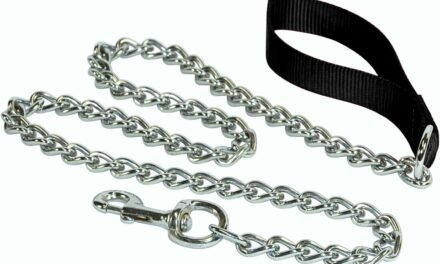 What customization options are available for leather pet collars and leashes?