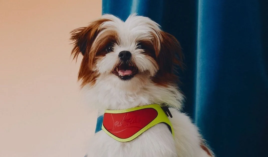 How do luxury brands incorporate leather into animal accessories?