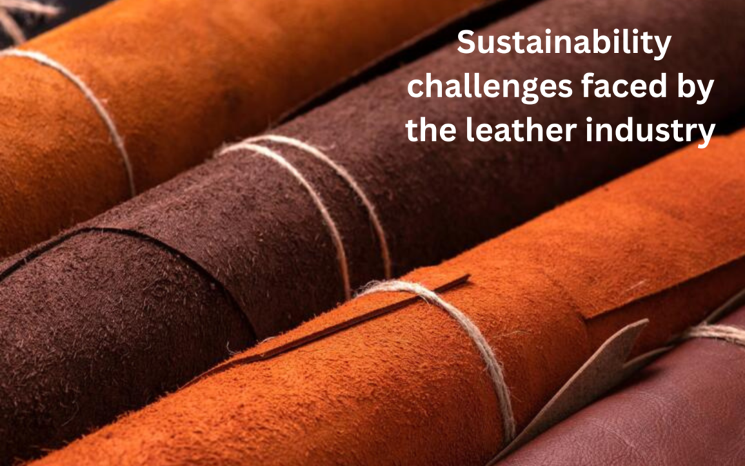 What are the key sustainability challenges faced by the leather industry?