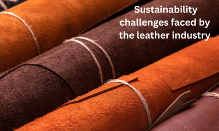 What are the key sustainability challenges faced by the leather industry?